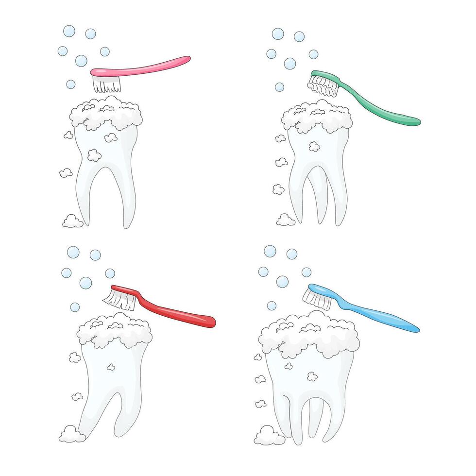 white background, set of teeth, personal hygiene procedure for cleaning the surface of the teeth from food debris and soft plaque, performed with a toothbrush and toothpaste vector