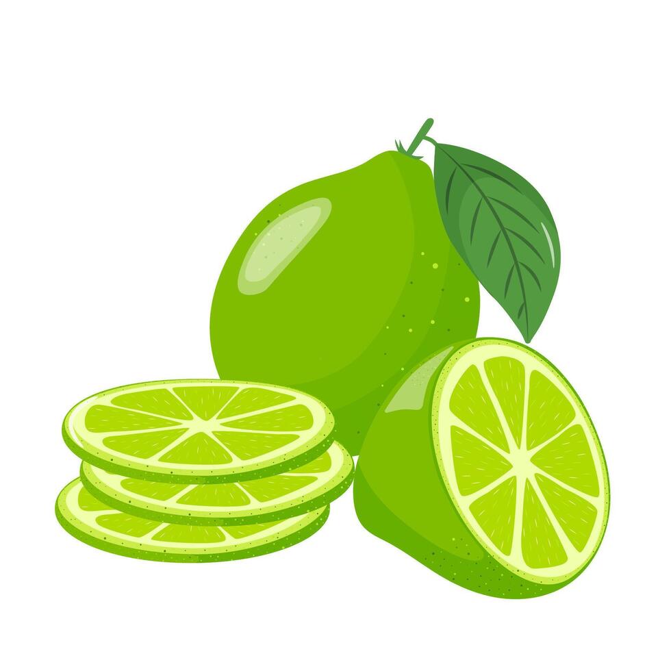 Lime icons set. Bright whole fruit, half, slices with leaves. Food for a healthy diet, dessert and lemonade. Elements for spring and summer design. illustration vector