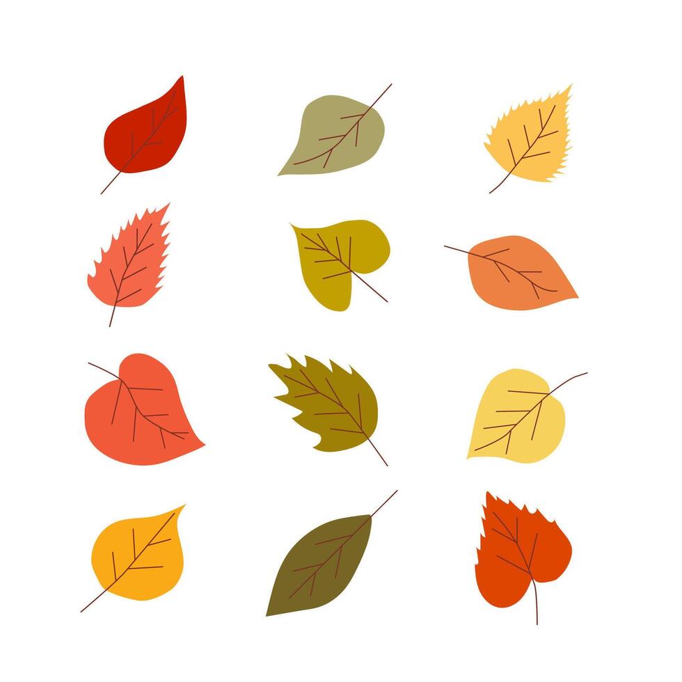 colorful set of autumn leaves on a light background. vector