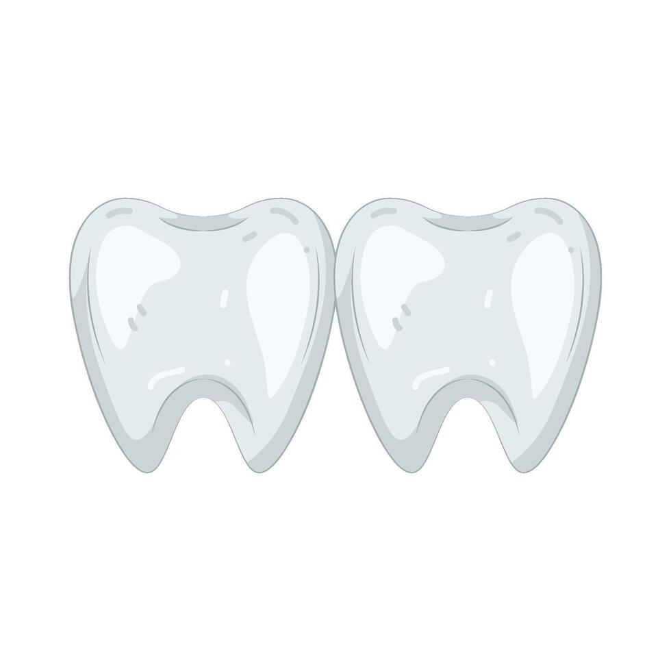 Two Healthy Teeth vector