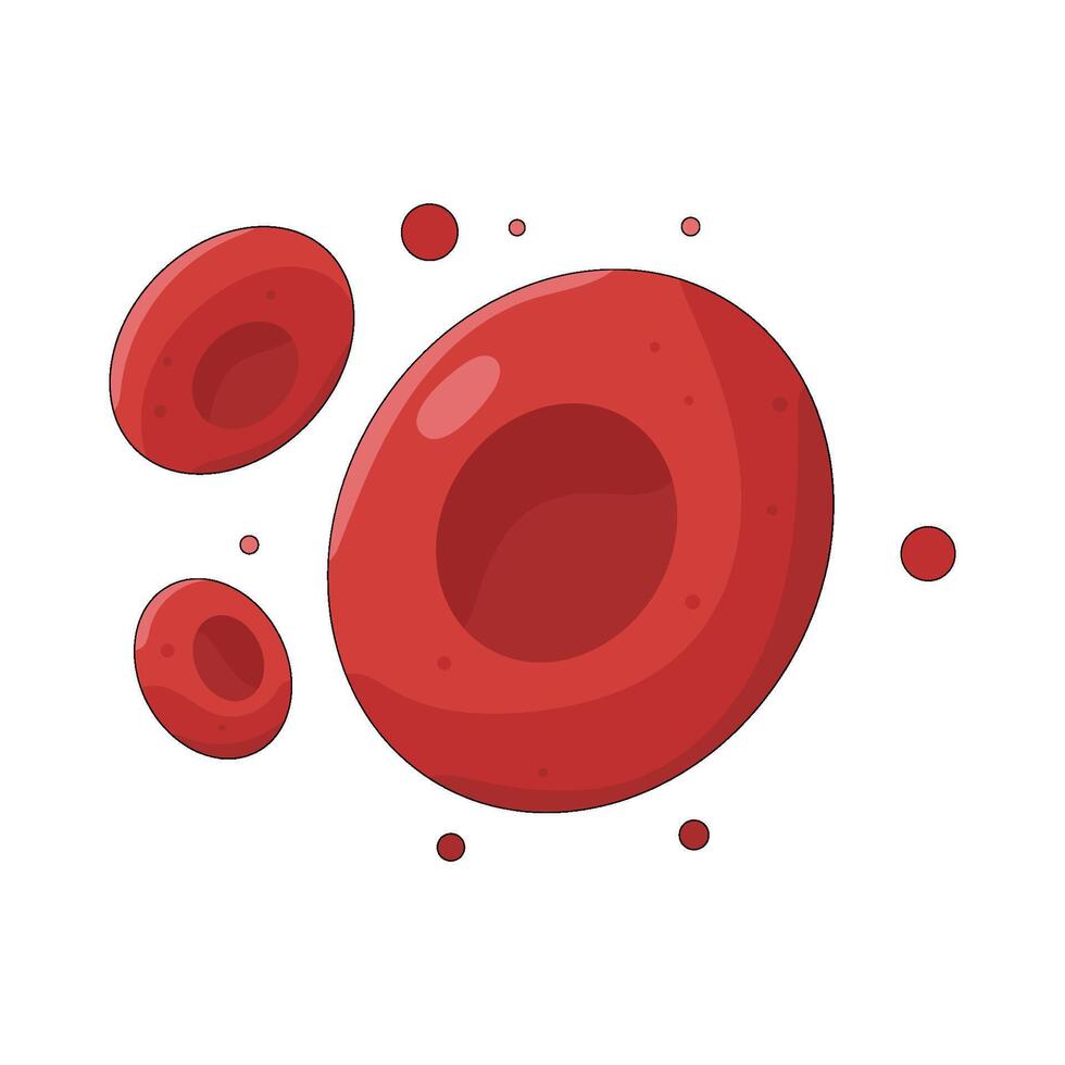 Red Blood Cells vector