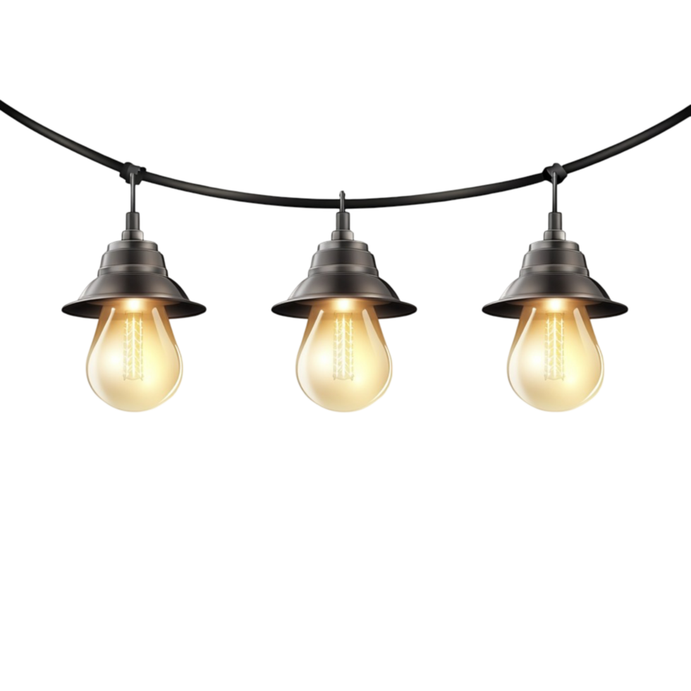Warm Edison Bulb String Lights on Curved Wire png