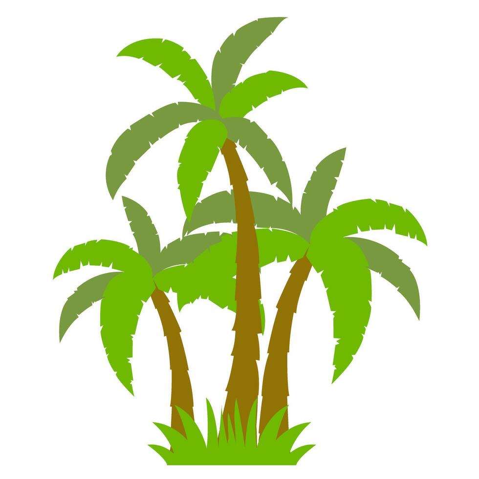 Palm tree icon isolated on white background. Flat design. Illustration vector