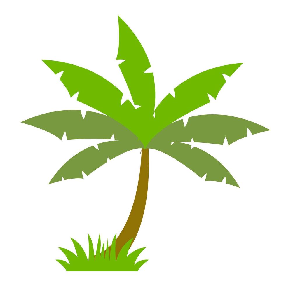 Coconut tree icon. Flat illustration of coconut tree icon for web vector