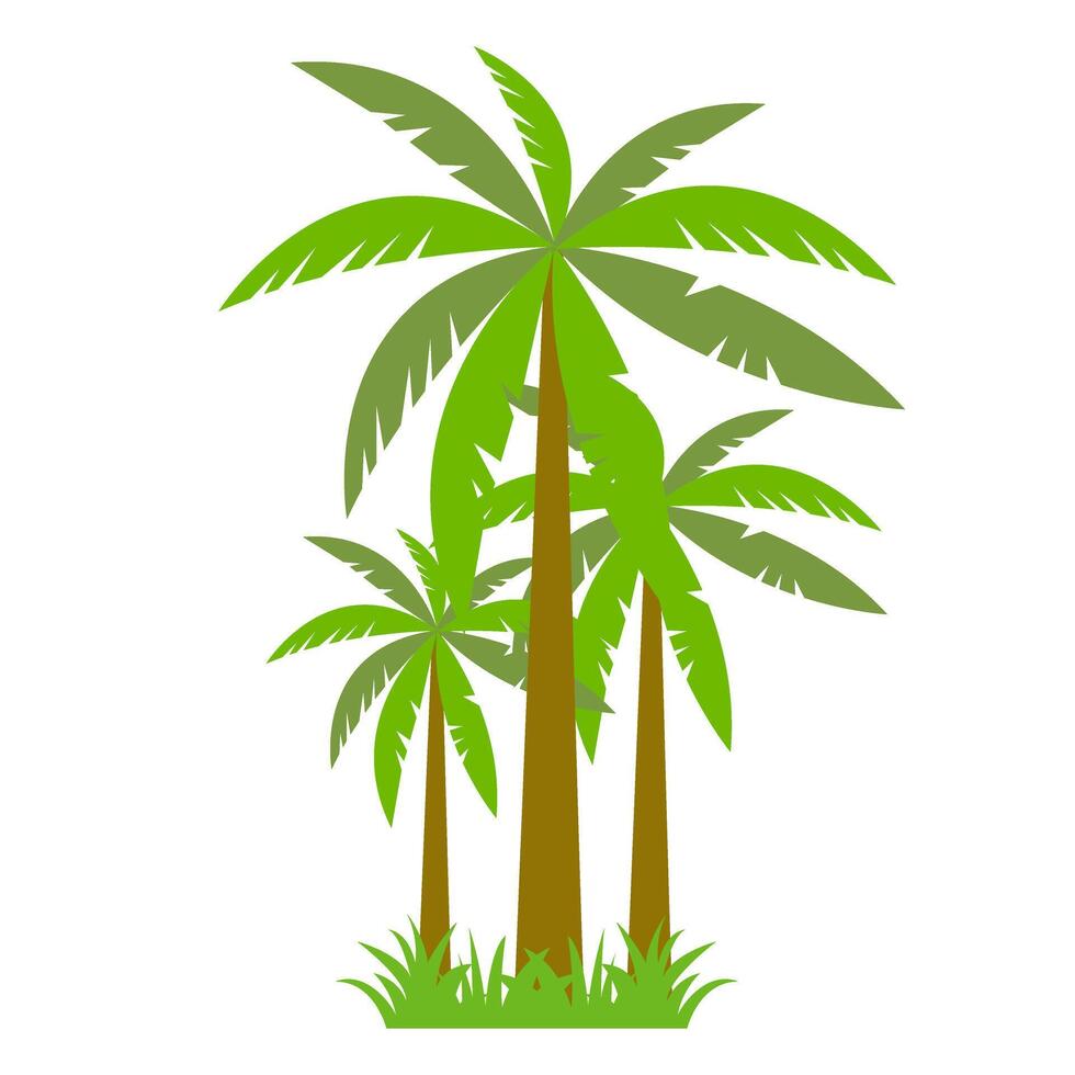 Palm tree icon on white background. Flat style. illustration. vector