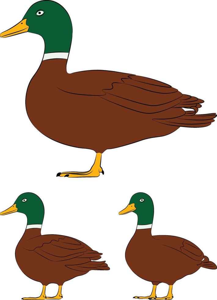Illustration of duck in flat design, side view. vector