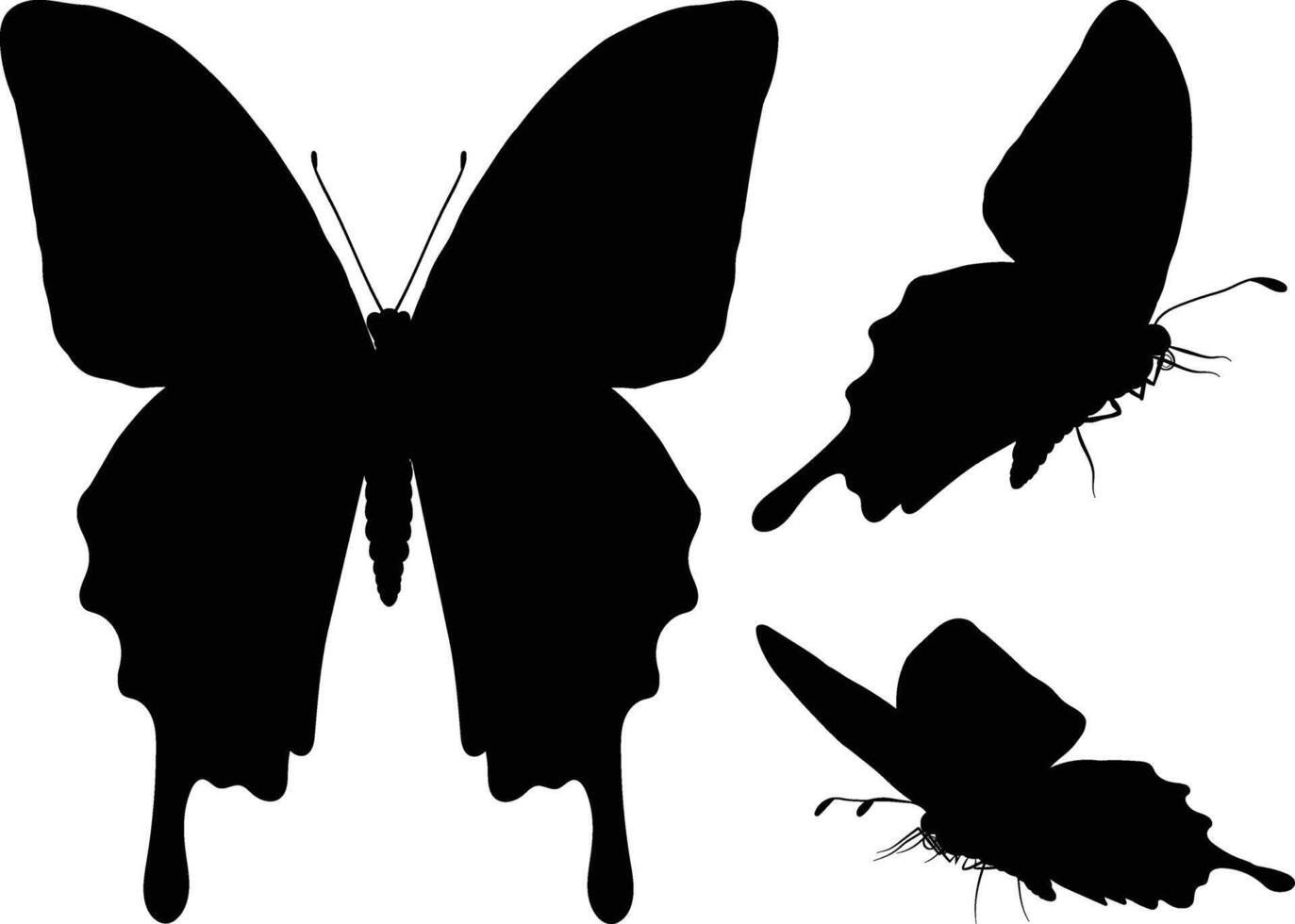 Butterfly silhouette illustration in flat design. vector