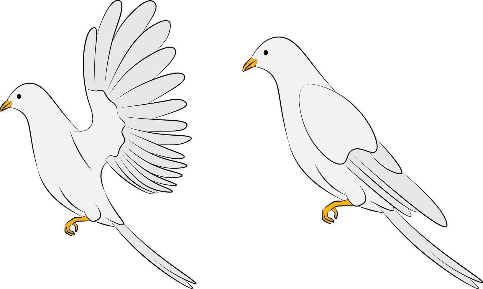 White dove - side view illustration. vector