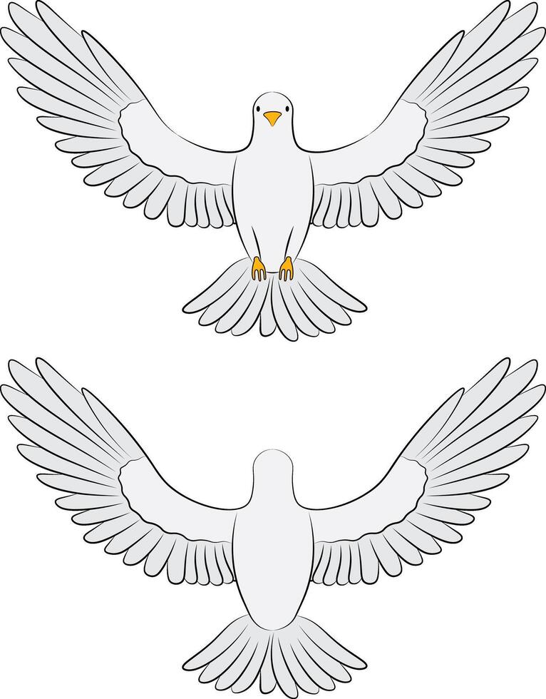 White dove flying - top and front view illustration. vector