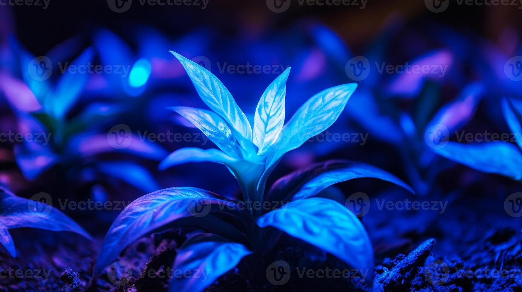 Vibrant blue-lit indoor plants thriving in dark soil under artificial lighting photo