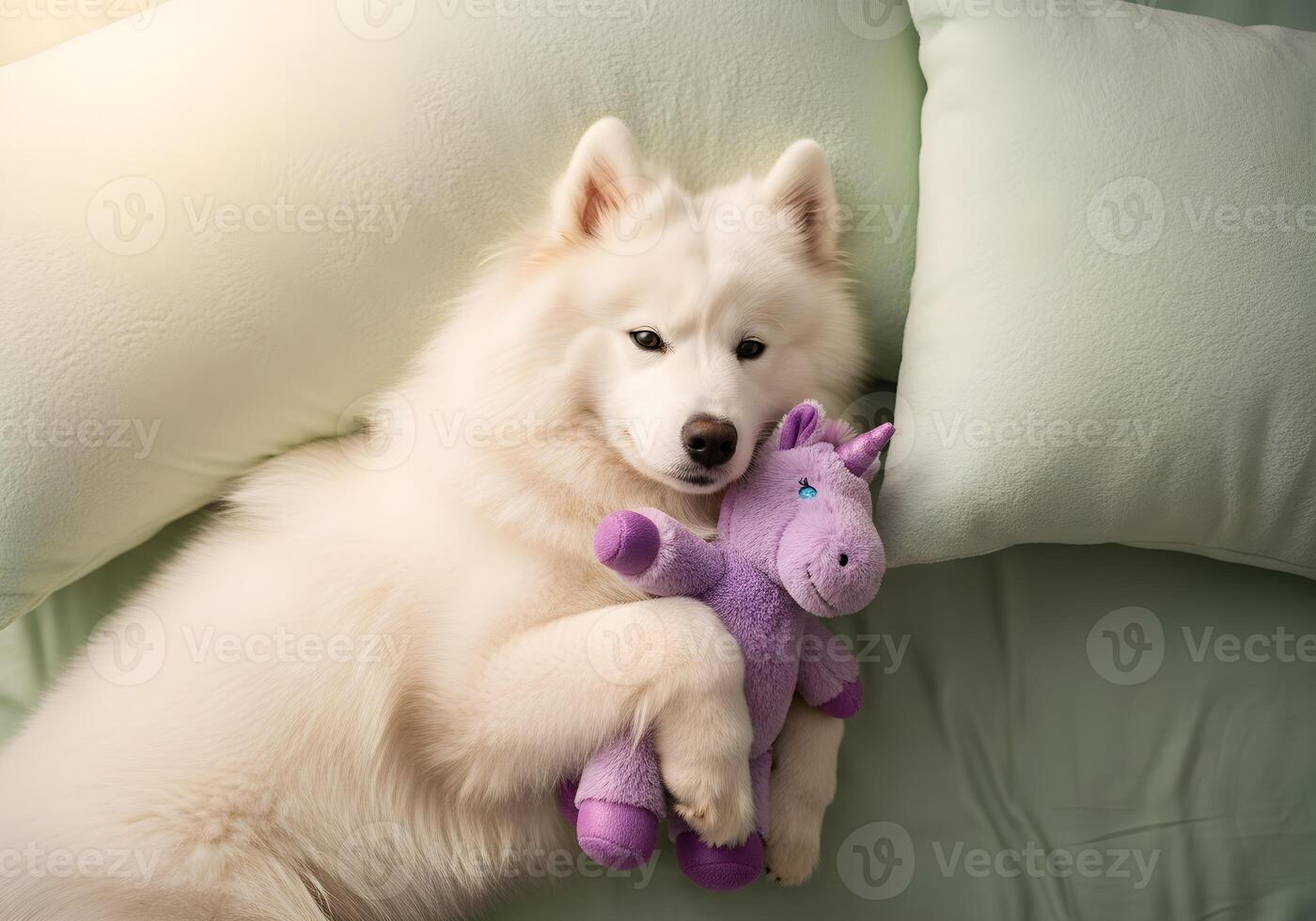 Fluffy Dog with Plush Toy on Pastel Bed from Above photo