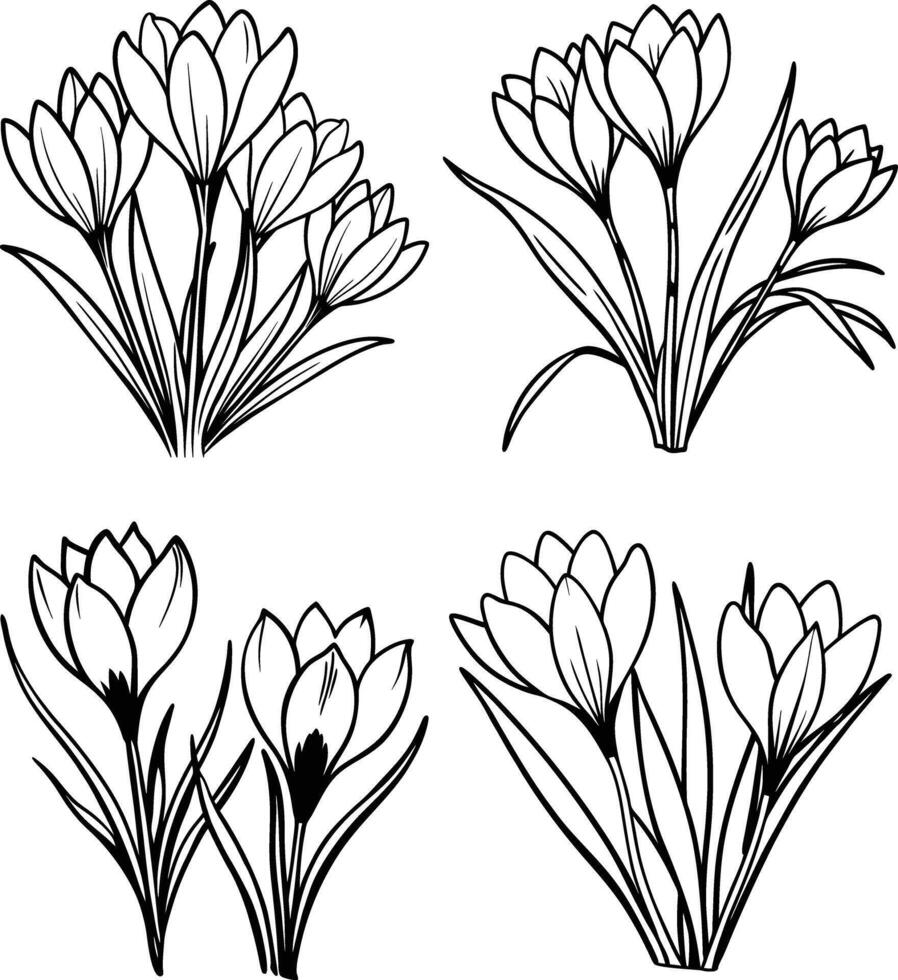 Black and White Floral Outline Illustrations Set vector