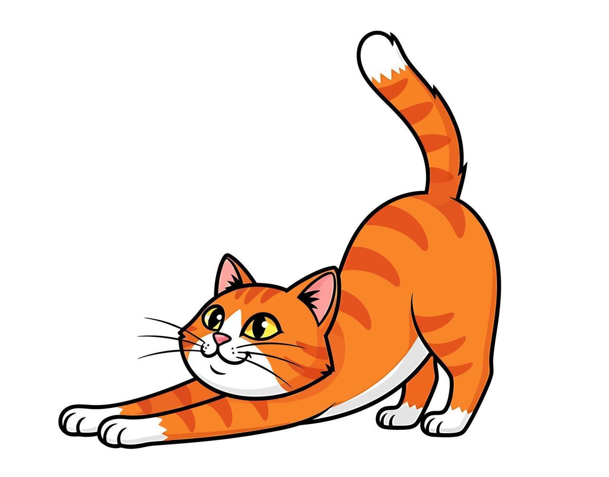 An orange cat is standing and stretching vector
