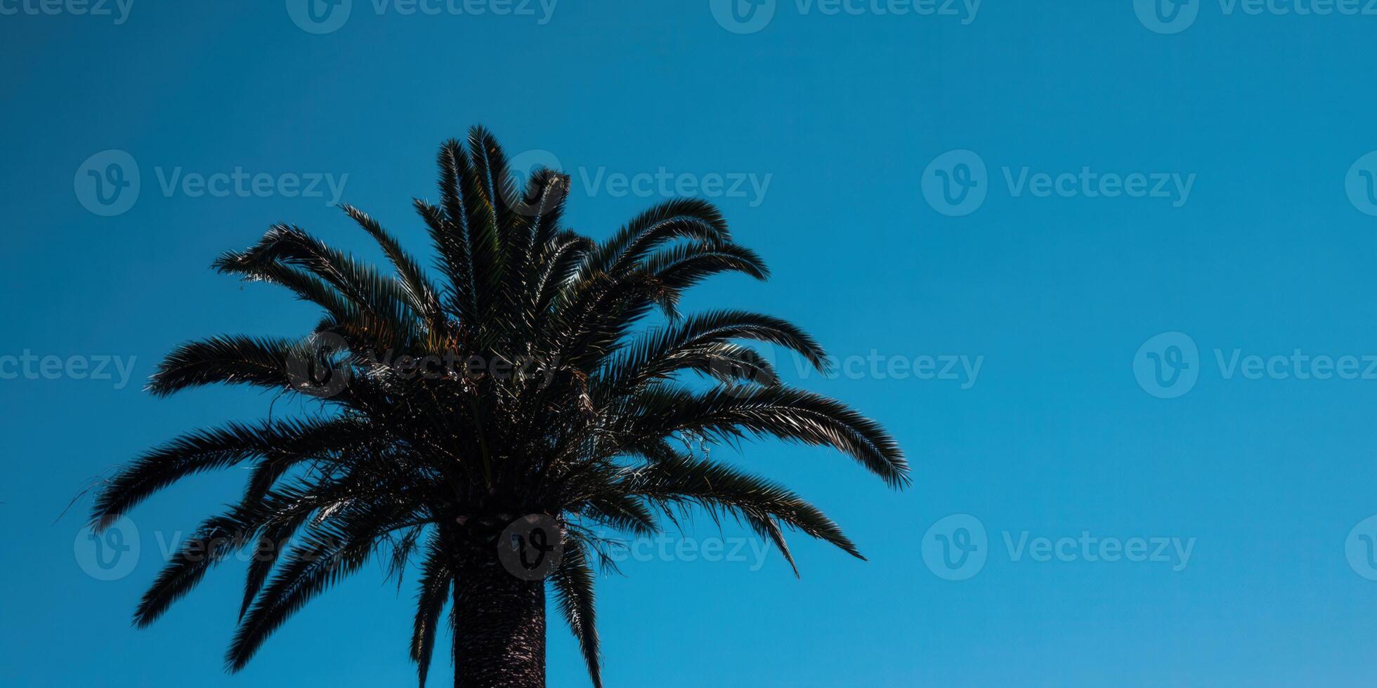 A solitary palm tree stands tall against a brilliant blue sky, creating a stunning contrast. photo