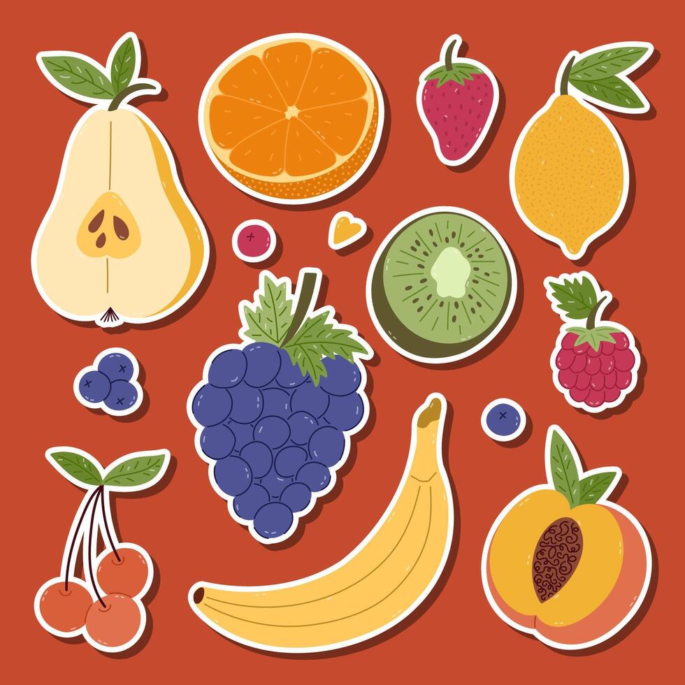 colorful fruit illustrations vector