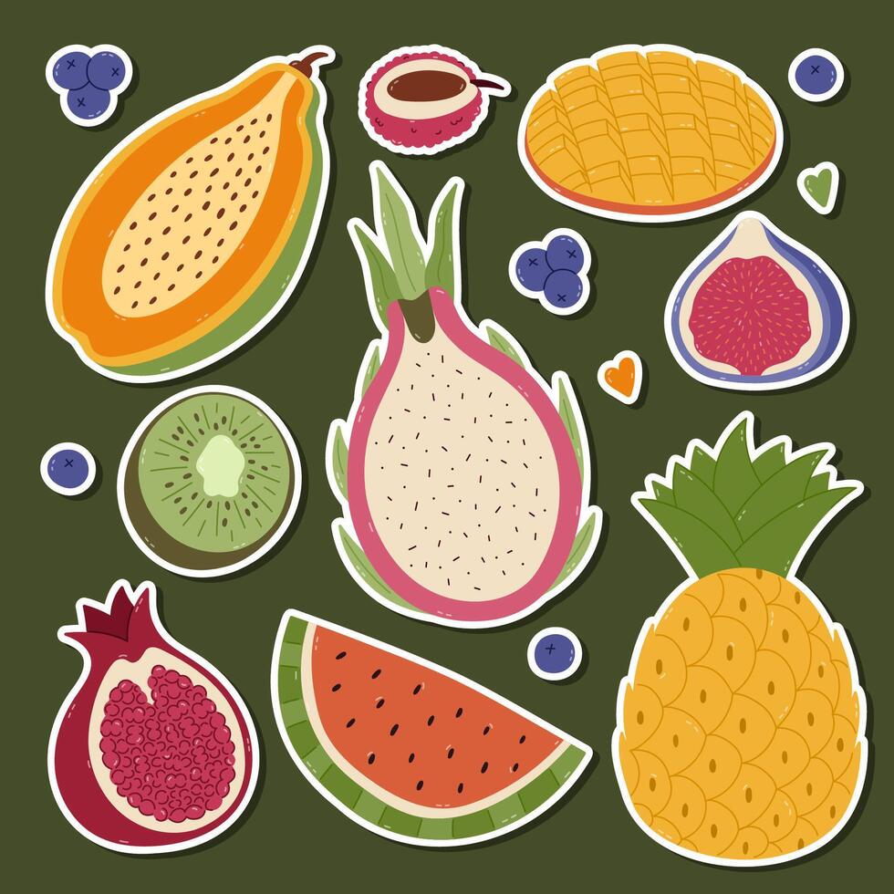colorful fruit sticker illustrations vector