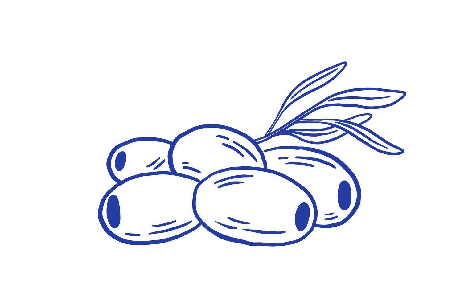 Hand draw fresh olives and leaves illustration. Mediterranean food in doodle sketch style. vector