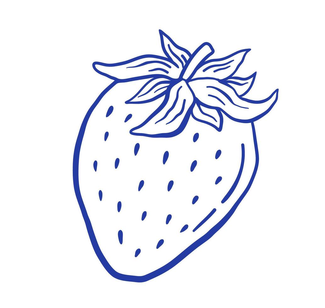 Hand draw strawberry illustration. Berry in doodle style. vector