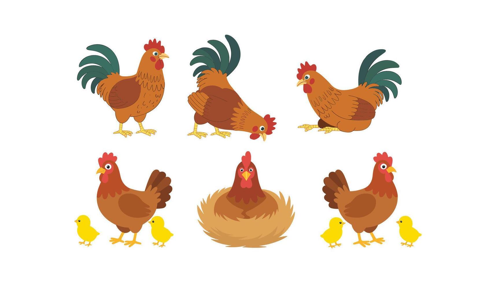 Cartoon Rooster, Hen, and Chicks Collection, Cute Farm Chicken Family Illustration, Poultry Animals Set for Kids, Education, and Design. vector
