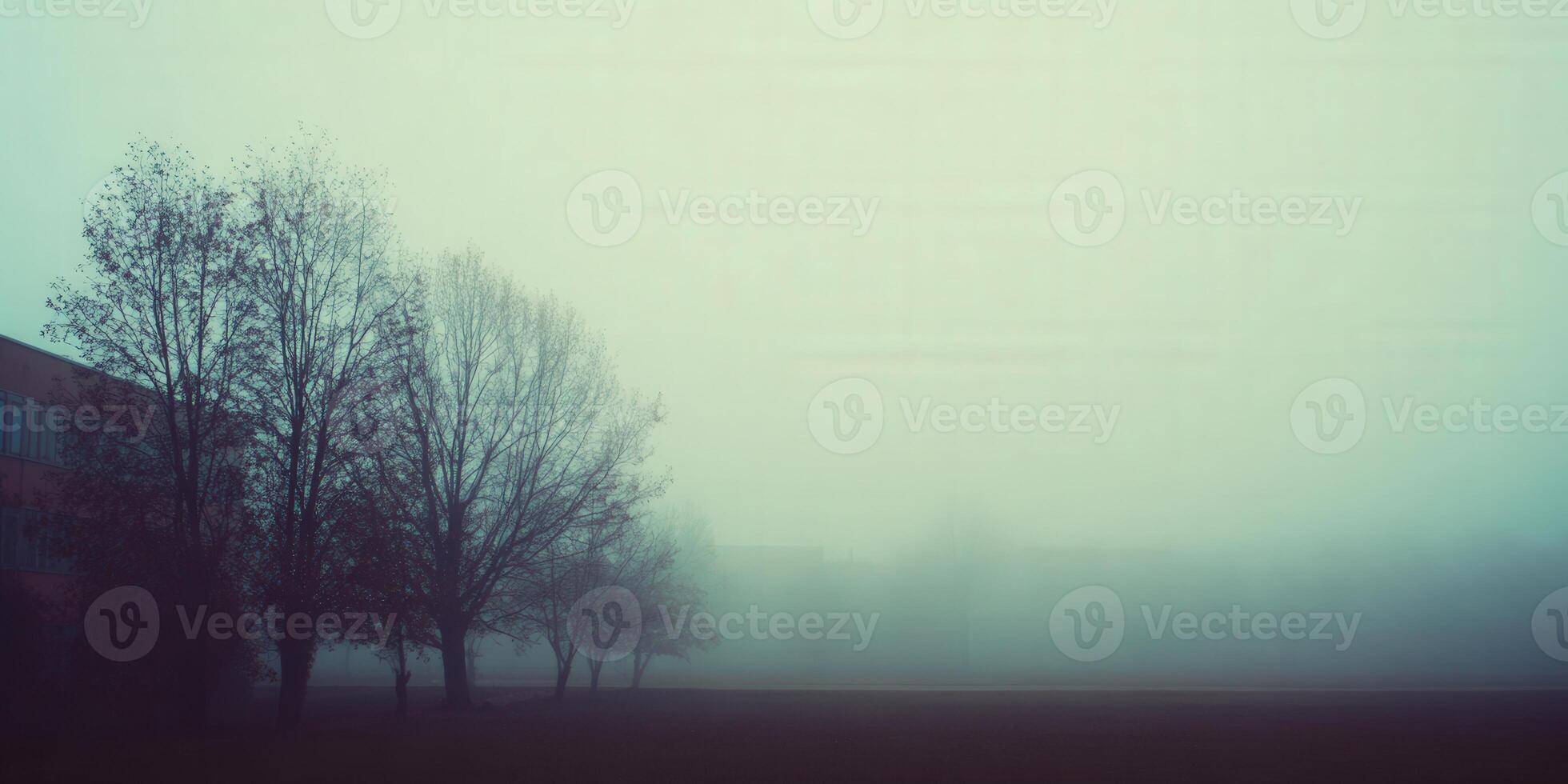 Trees stand in the fog, creating a serene, atmospheric landscape during a misty morning. photo