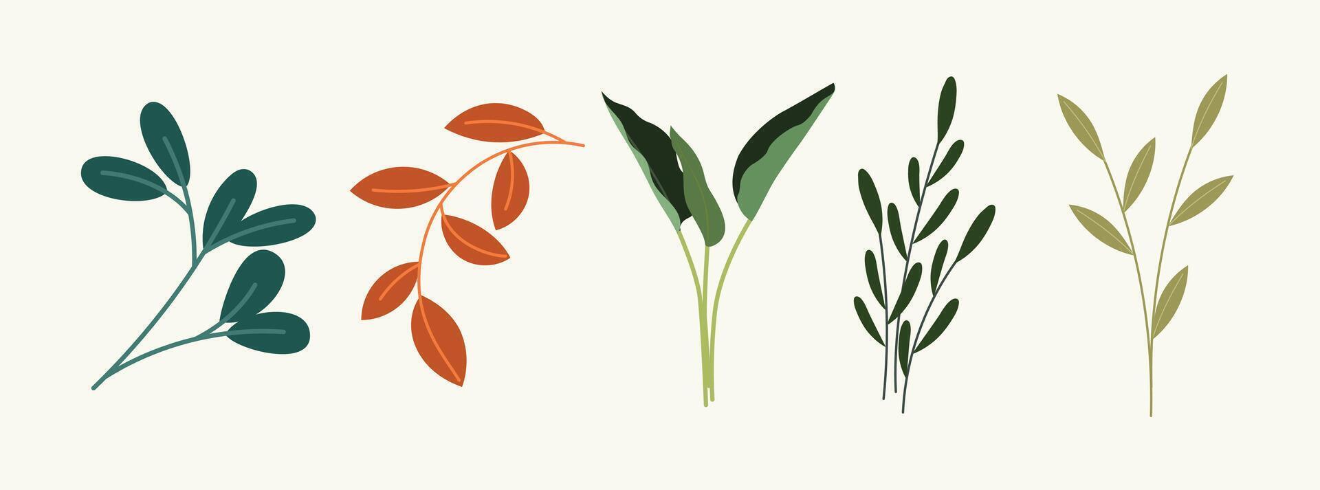 Cute kawaii flat leaf shape collection in various styles. Fun and playful botanical elements perfect for kids projects, nature themes, or eco-friendly designs. vector