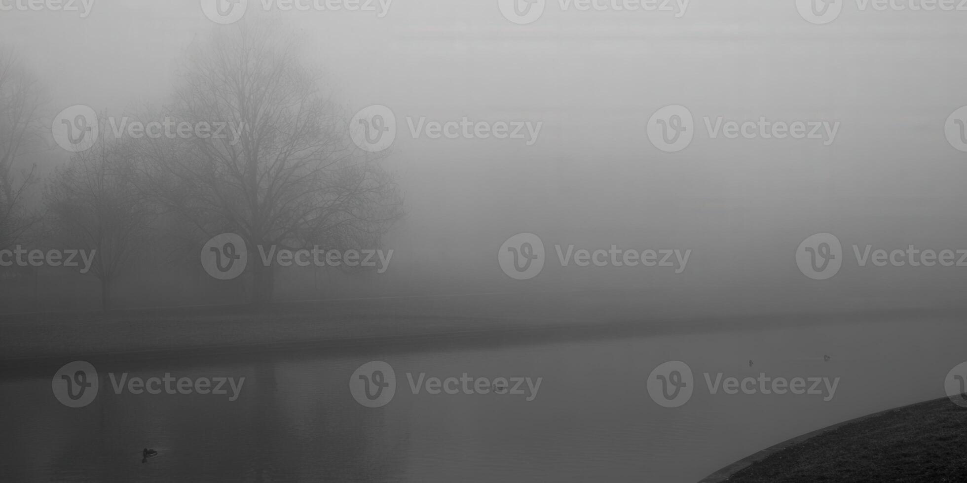 Ethereal black and white landscape of a foggy lake with trees in the distance, creating a serene atmosphere. photo