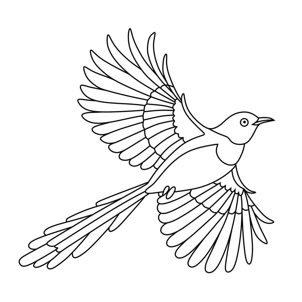 Line Art of Flying White Rumped Shama vector
