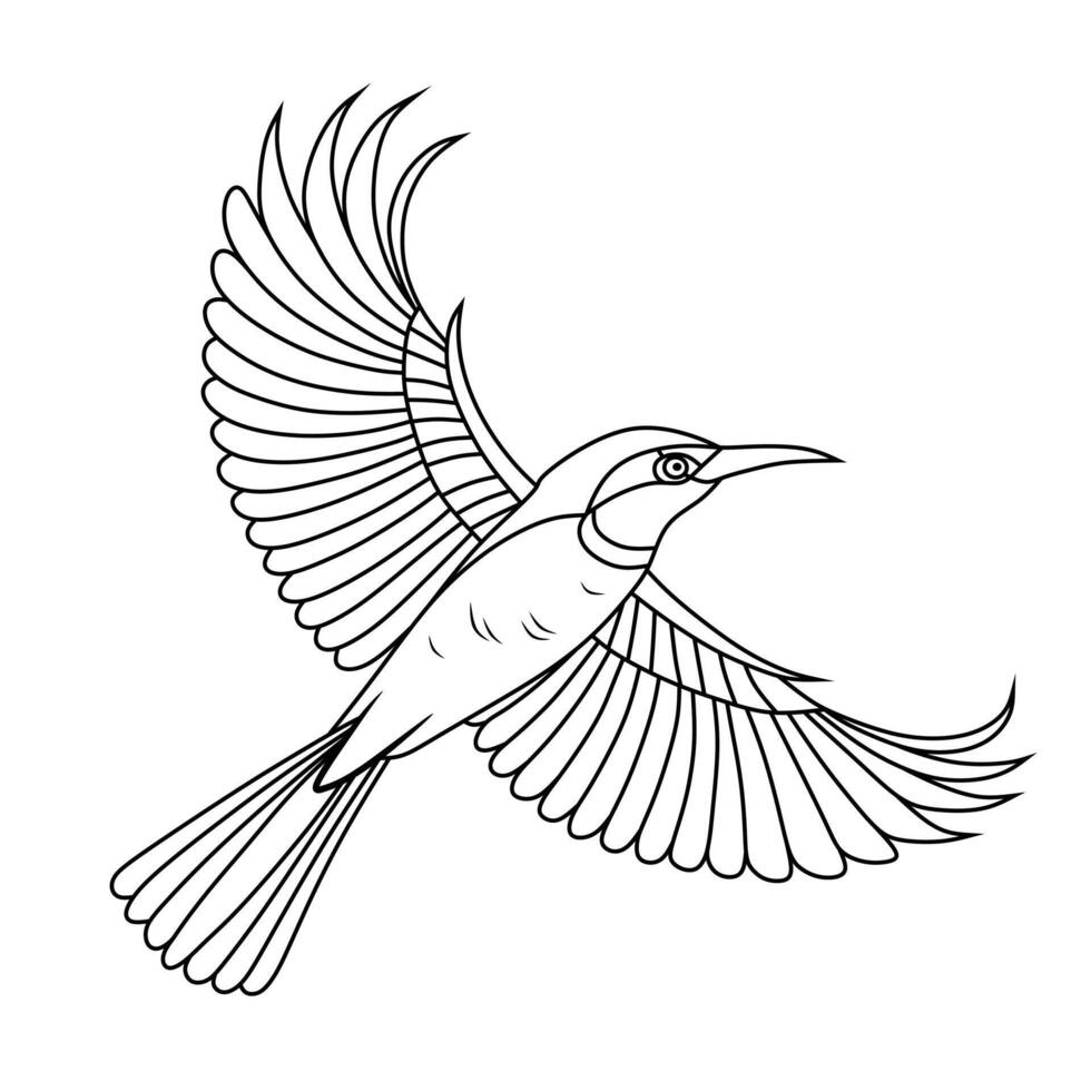 Line Art of Flying Brown Throated Sunbird vector