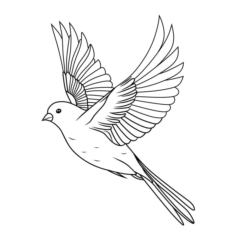 Flying Canary Bird Line Art Illustration vector