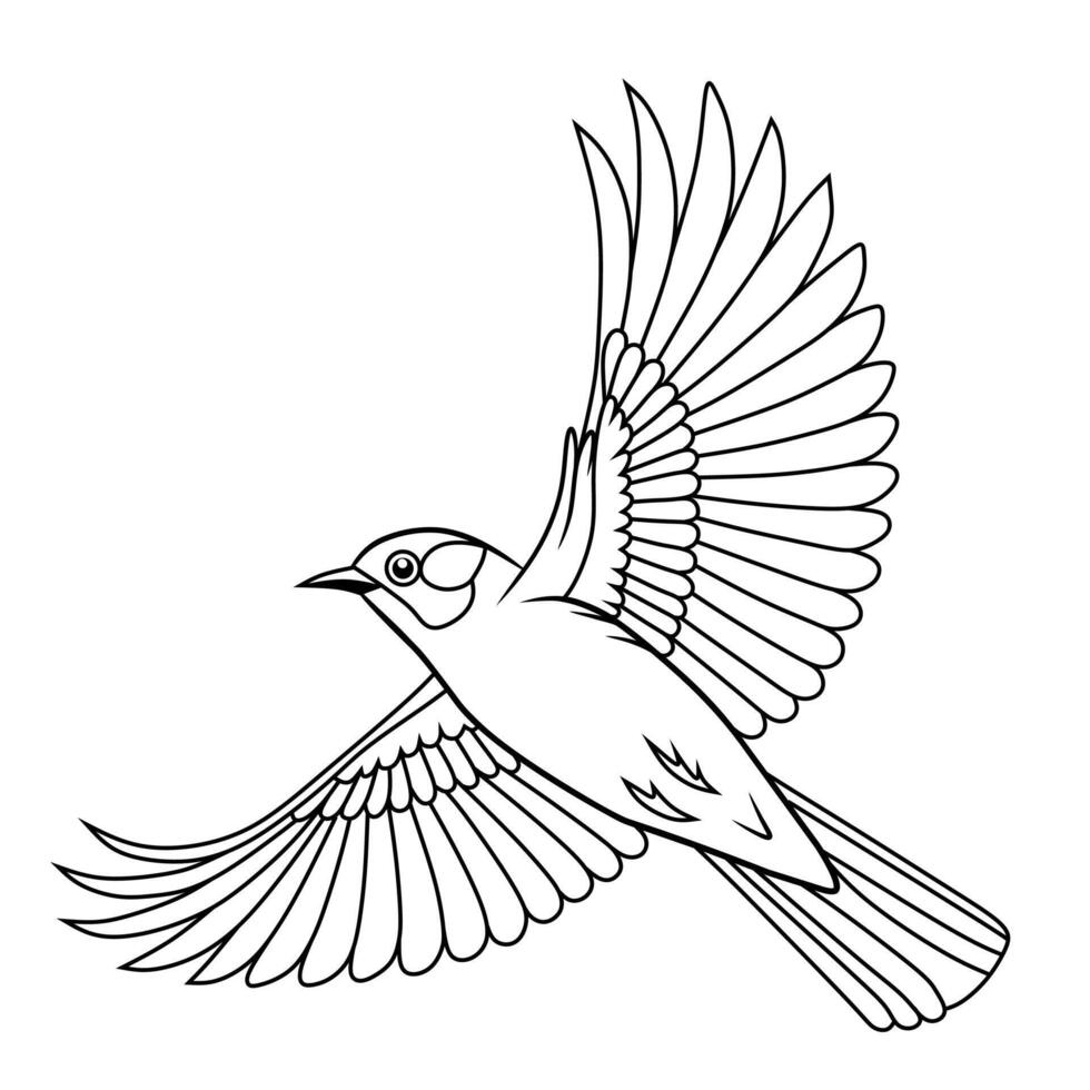 Line Art of Flying Bearded Bulbul vector