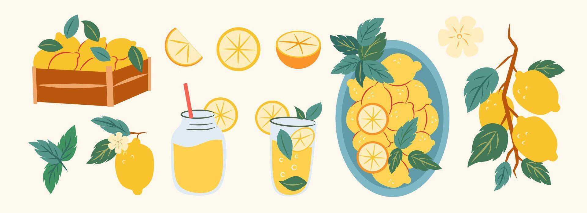 Lemons and lemonade illustrations in various forms vector