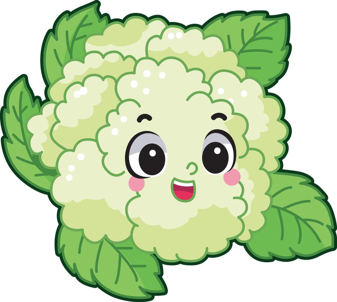 Easy vegetables drawing. Cute cauliflower veggie herbs icon. vector