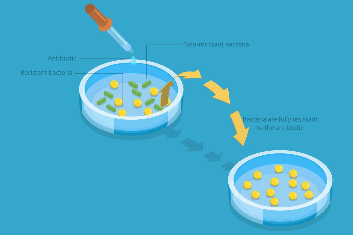 3D Isometric Flat Illustration of Antimicrobial Resistance, Microbes Mutation vector