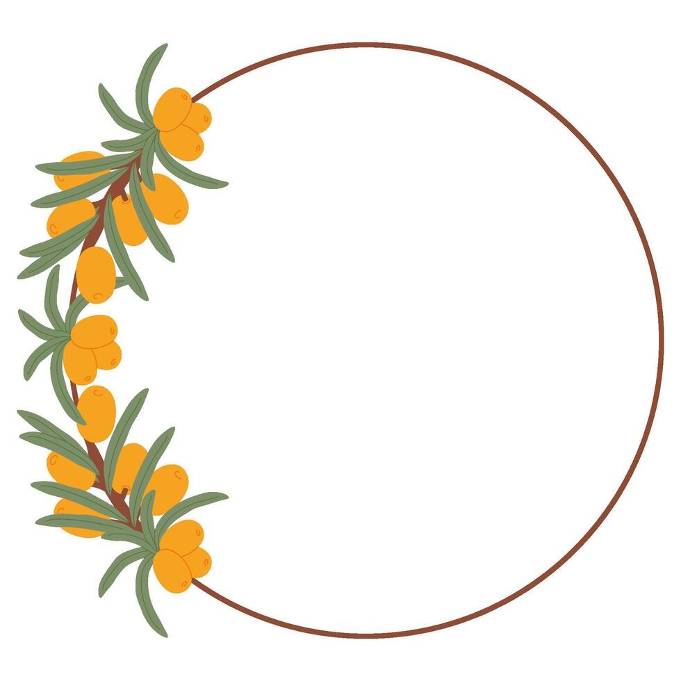 Minimalist Sea Buckthorn Circular Frame with Orange Berries and Green Leaves in a Botanical Hand-Drawn Design vector