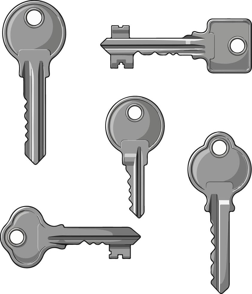 Collection of five realistic gray metal keys on a white background vector