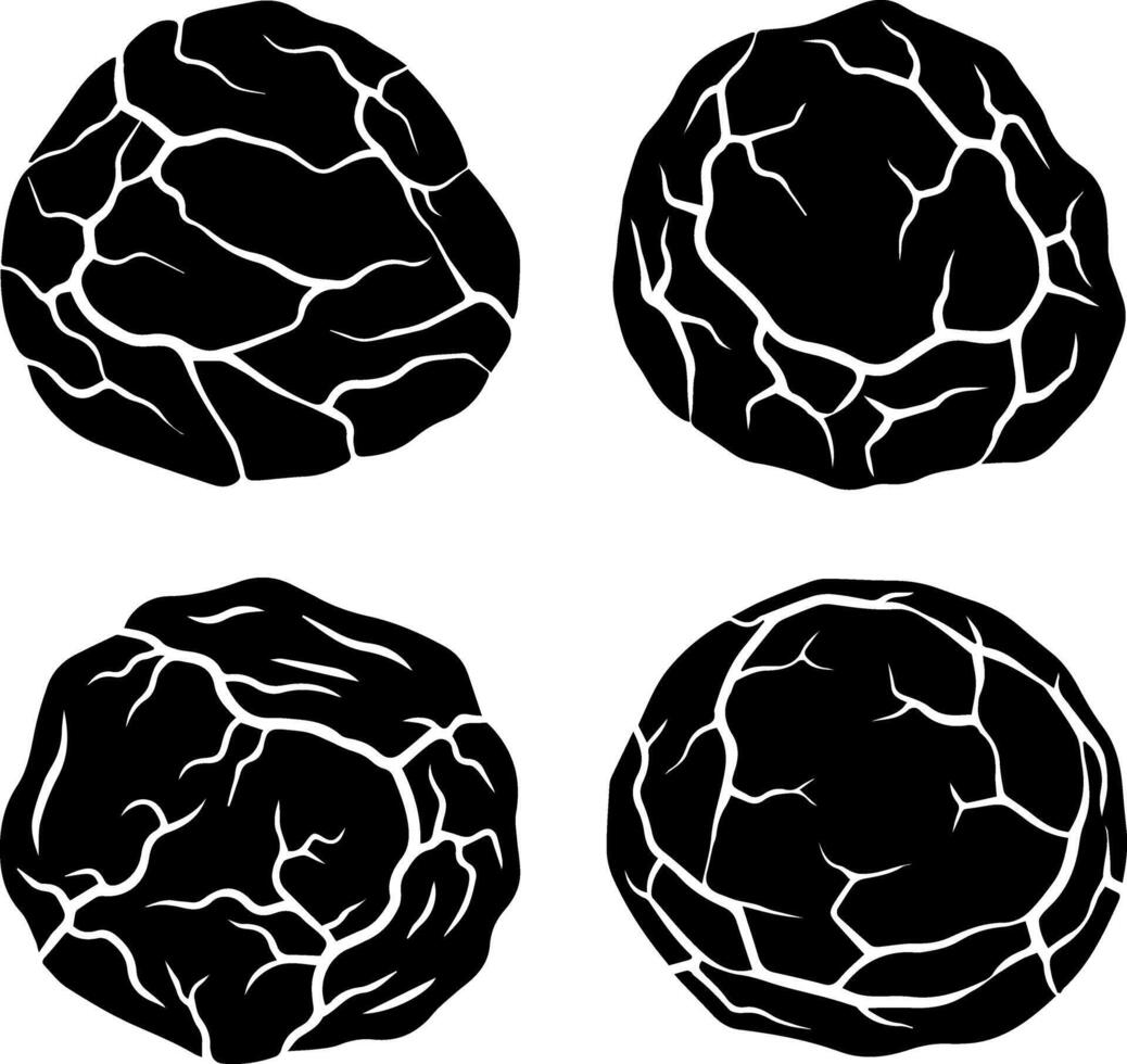 Four black truffles with cracked textured surfaces isolated on white background vector
