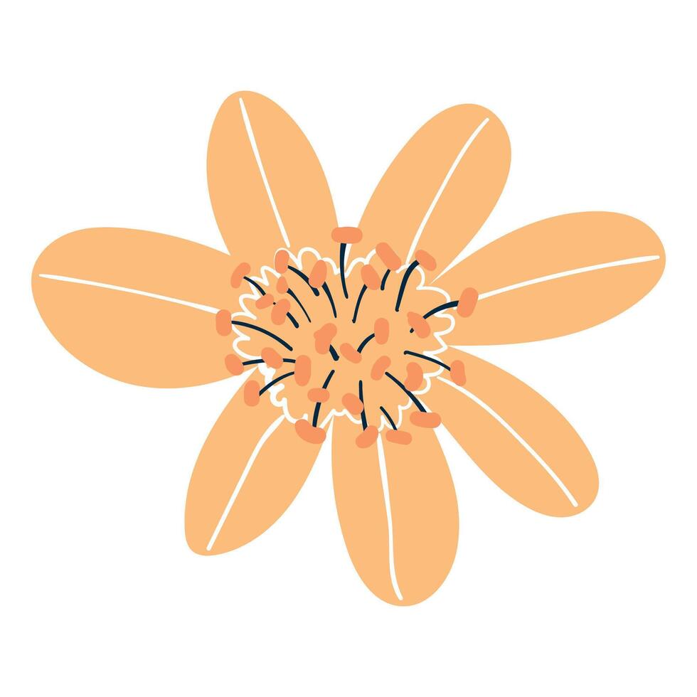 Vibrant Yellow Flower With Petals Radiating Around A Dotted Center. Delicate cartoon wild plant. Cute nature herb perfect for invitations, cards, posters, holidays, stickers. vector