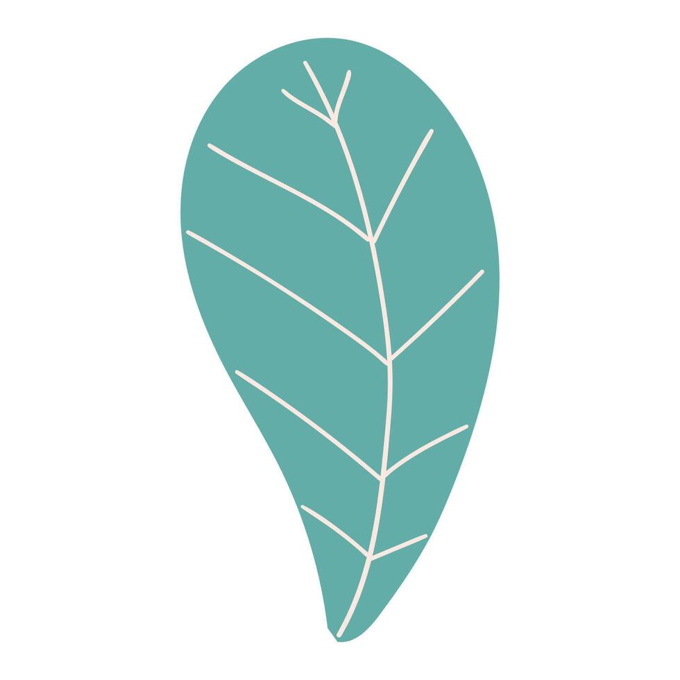 Minimal Teardrop Shaped Teal Leaf With White Veins. Delicate cartoon wild plant. Cute nature herb perfect for invitations, cards, posters, holidays, stickers vector