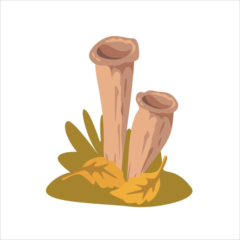 Warm illustration of two brown mushrooms with autumn leaves and grass. Ideal for forest themed graphics, educational materials, botanical designs, or seasonal decor. Craterellus cornucopioides vector