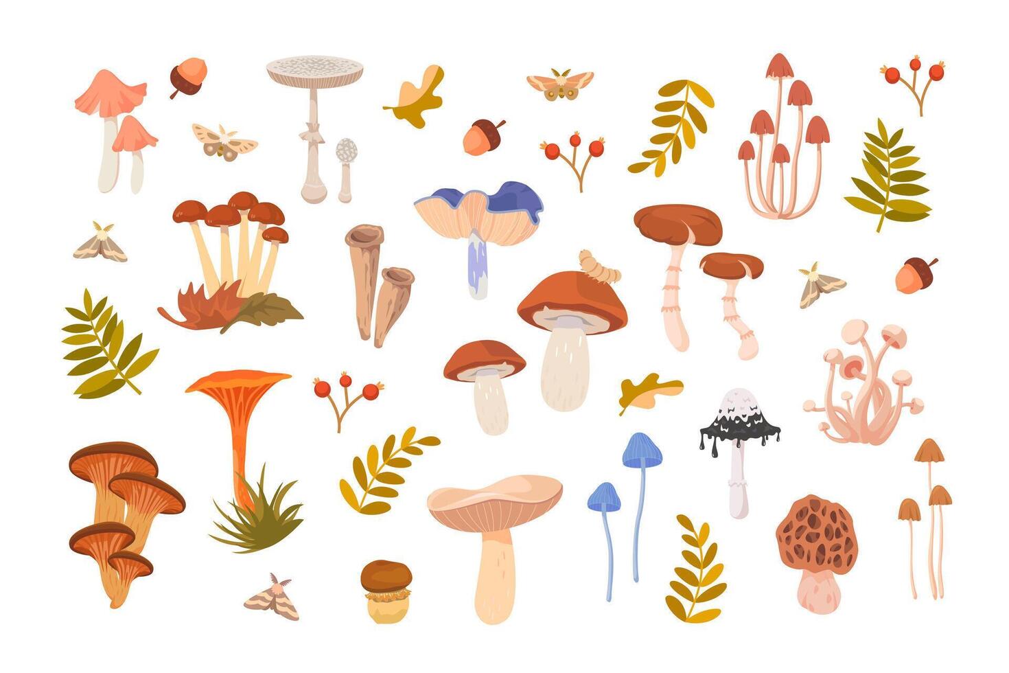 Colorful mushrooms and plants illustration vector