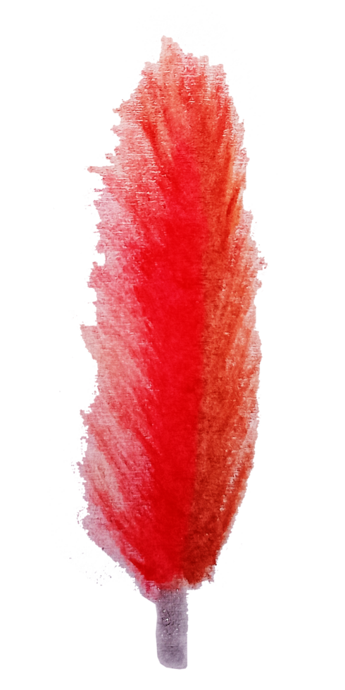 Abstract Watercolor Feather in Red Hues png
