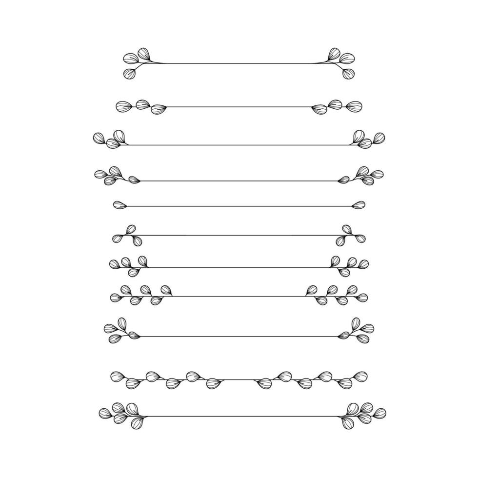 Floral Eucalyptus Line Divider Collection border for text layout separator decoration element set vector