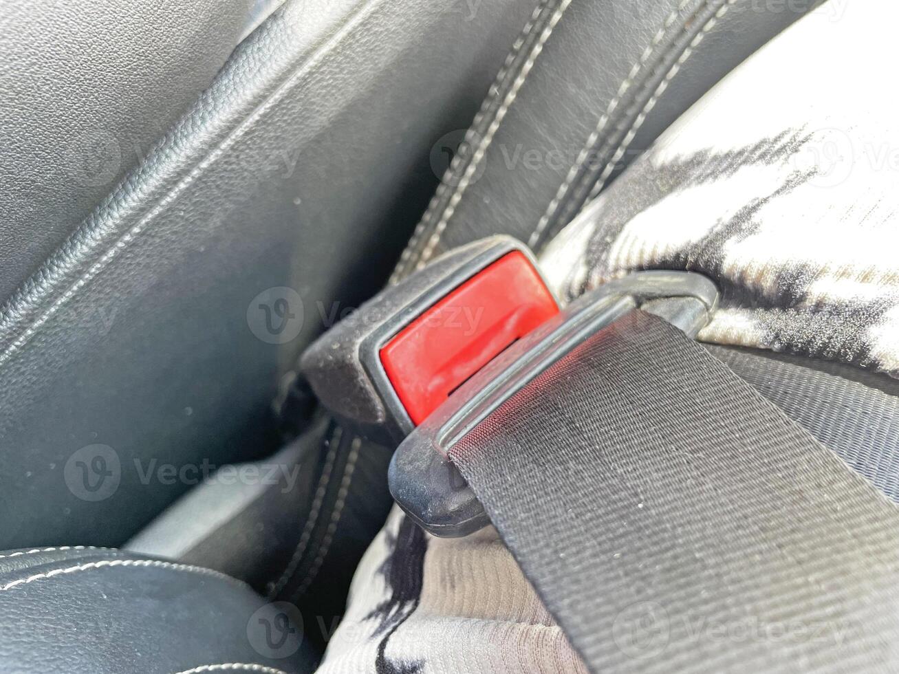Fastened seat belt in the car photo
