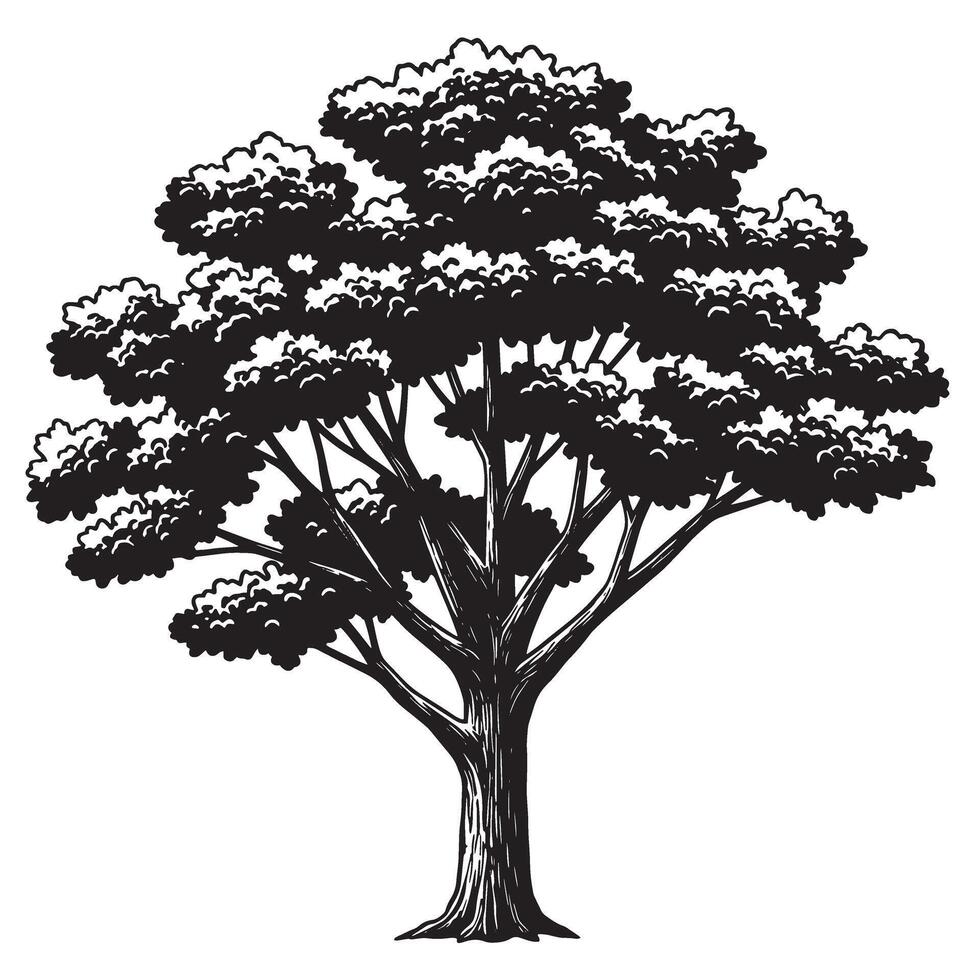 Detailed black and white illustration of a large tree with a full canopy isolated vector