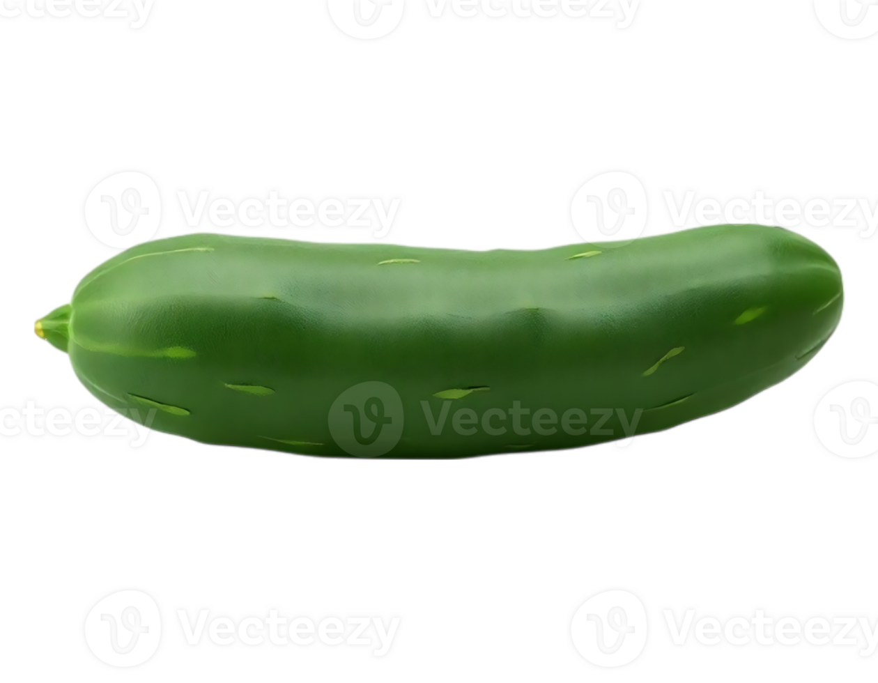 Fresh Green Cucumber Detailed Studio Shot png