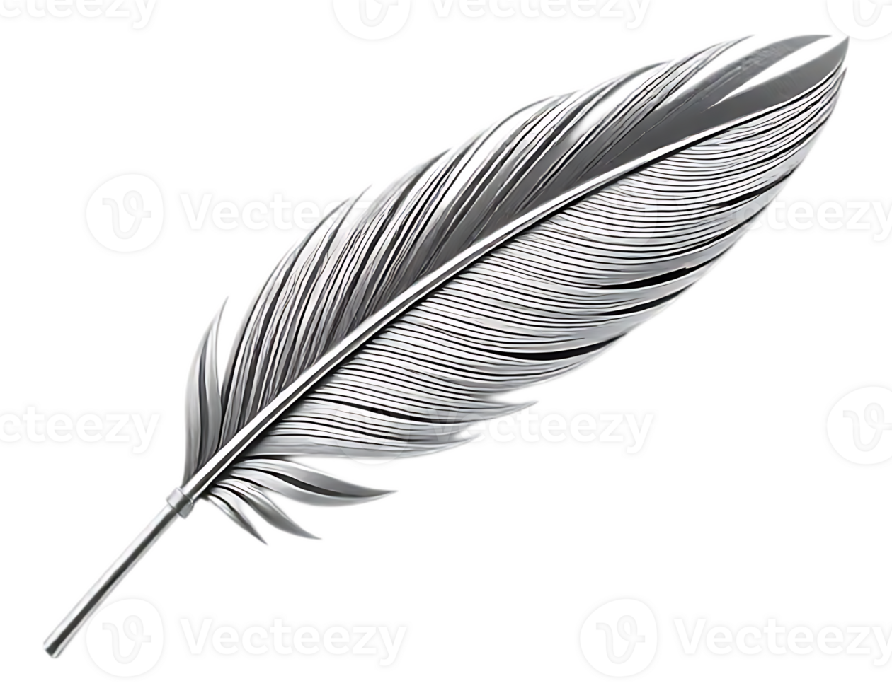 Elegant Silver Feather on Transparent Background png