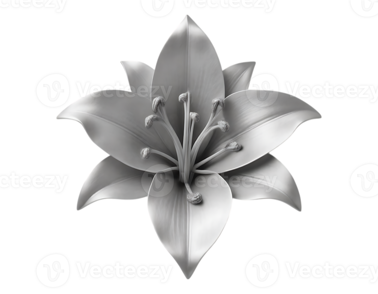 Elegant Silver Lily Blossom with Transparent Background png