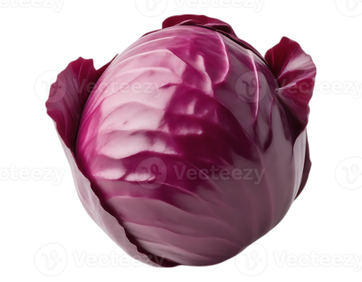 Vibrant Red Cabbage Head Isolated png