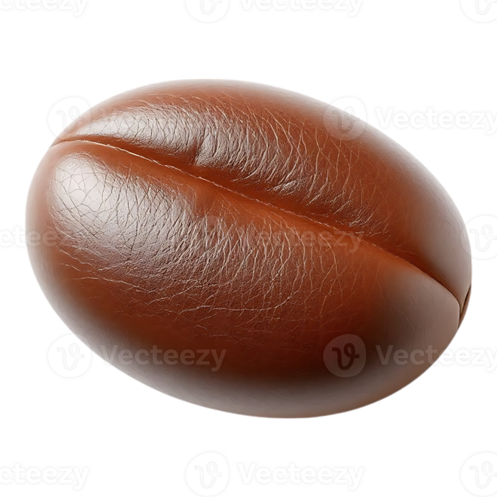 Close-up of a Realistic Coffee Bean png