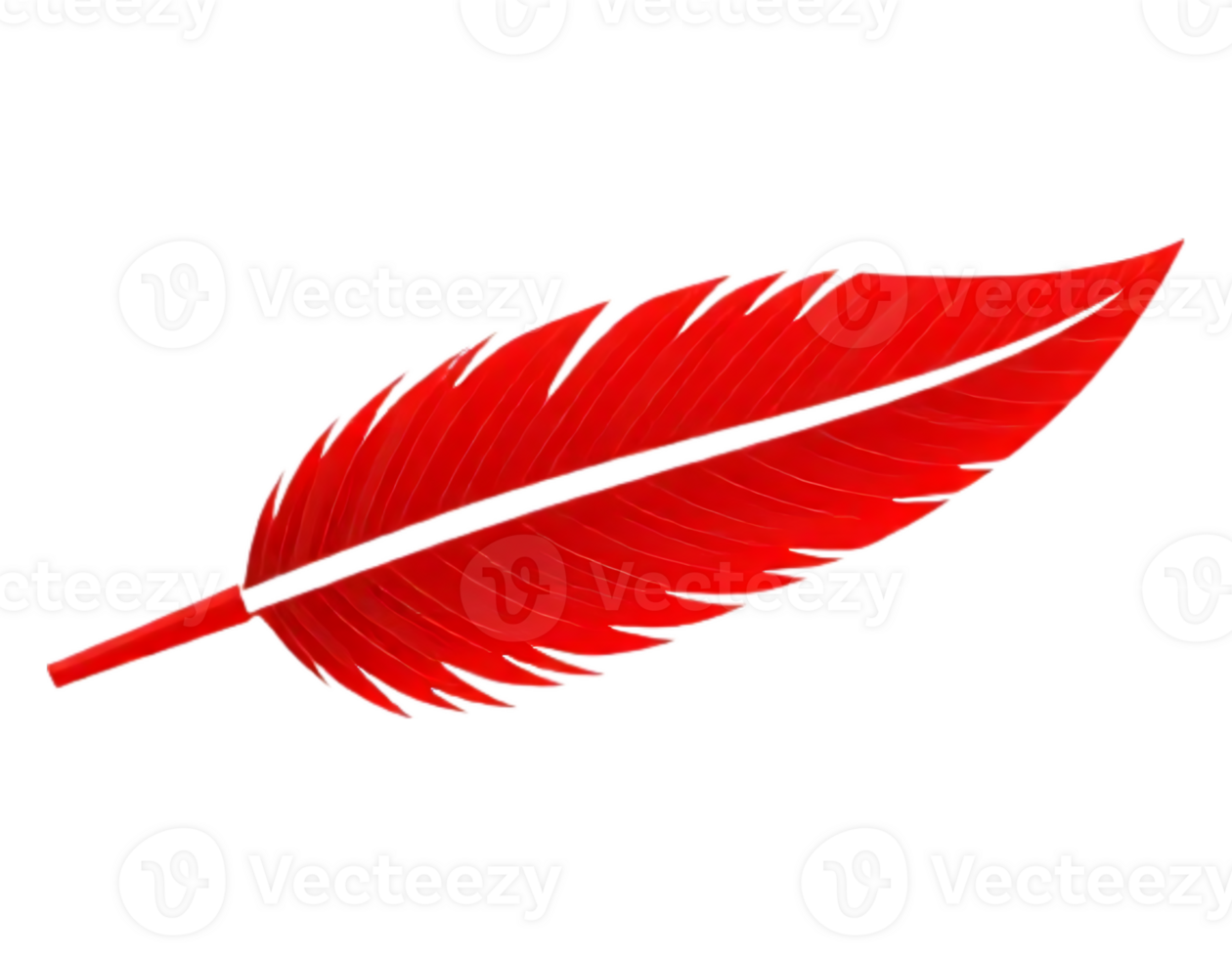 Vibrant Red Feather with Transparent Background png